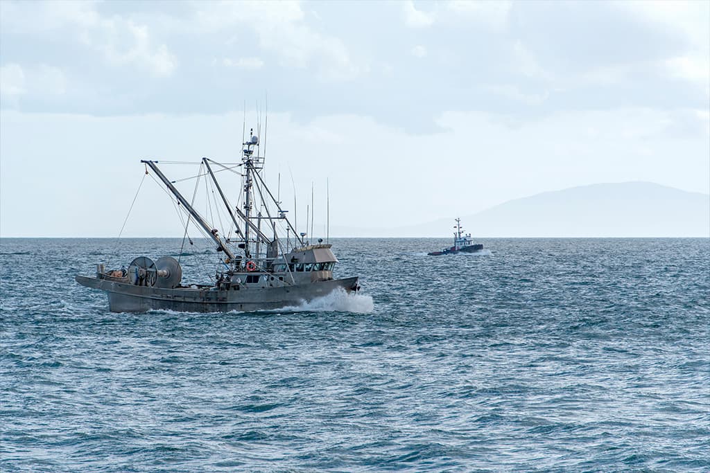 Promotional image for OceanCanada